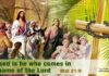 Whoever Drives Children Out of Church Drives Christ Out with Them (Bishop Ibrahim – Palm Sunday Homily)