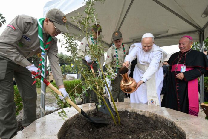 On the Land of Saint Augustine, Pope Leo XIV Plants a Sign of Peace